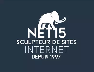 Logo Net15